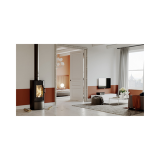 DEFRO HOME ORBIS židinys - krosnelė. Plieninė laisvai pastatoma krosnelė - židinys lenktu stiklu.